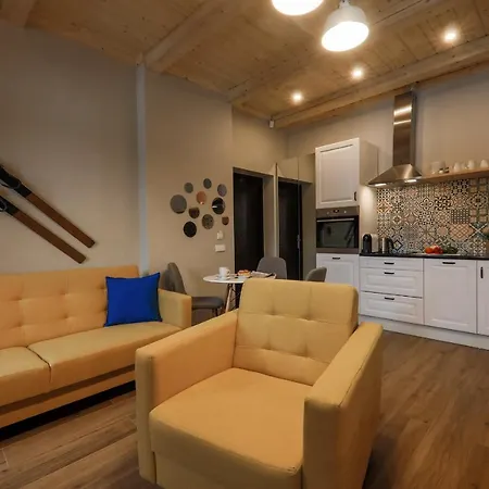 Apartment Mecenasowka